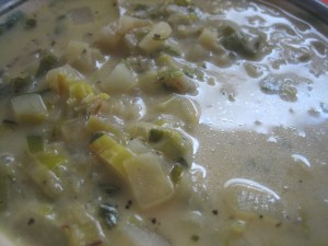Capay Farms Leek & Potato Soup