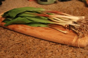 fresh cleaned wild ramps